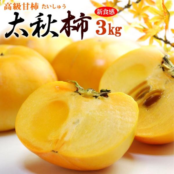 H` (3kg) F{EQEY Gi イ `  JL persimmon  Ê` Hi t[c ʕ ` Mtg   䋟