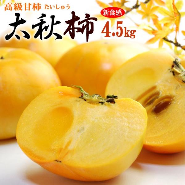 H` (4.5kg) F{EQEY Gi イ `  JL persimmon  Ê` Hi t[c ʕ ` Mtg   䋟