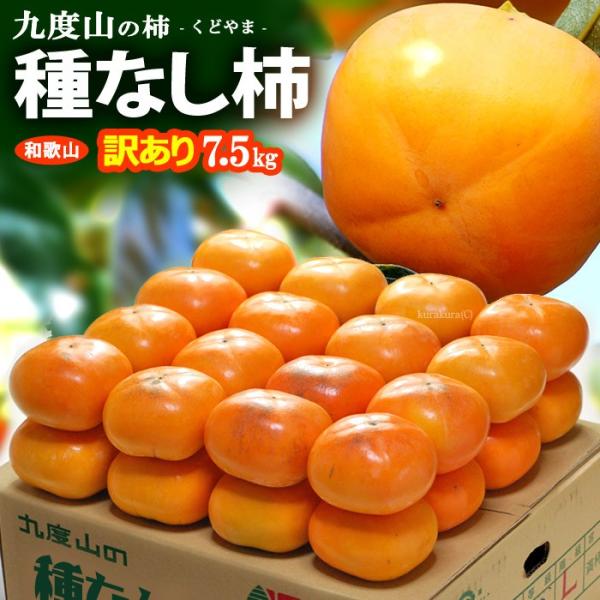 柿 訳あり - 食品の人気商品・通販・価格比較 - 価格.com 柿 訳あり - 食品の人気商品・通販・価格比較 - 価格.com