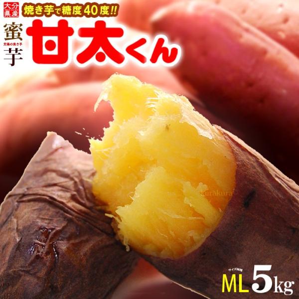 Ñ M-L (5kg) 啪Y g͂邩 񂽂    Â lbg x ܈ Tc}C Ï Ă Ă F Tc}C Mtg 