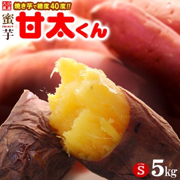 Ñ S (5kg) 啪Y g͂邩 񂽂    Â lbg x ܈ Tc}C Ï Ă Ă F Tc}C Ñ 