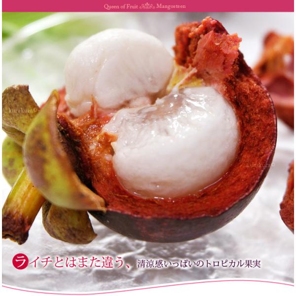 マンゴスチン！ 南国の激レアフルーツ！コストコで人気の「マンゴスチン」が今年も期間