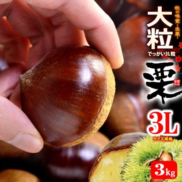 うさフィンクス様　生栗　3キロ 楽天市場】小布施栗 おぶせ くり 特大 3Lサイズ 約2kg 長野県