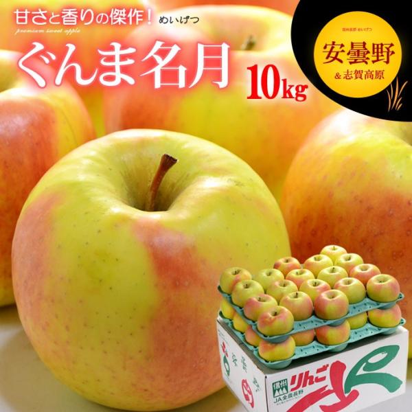 ܖ  (10kg) Y Gi p  ܖ ߂ CQc apple ringo S ь Hi t[c ʕ  Mtg  