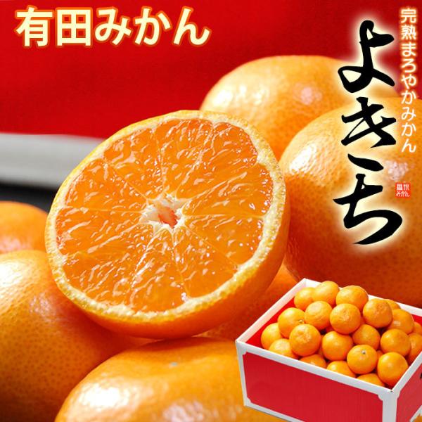 Lc݂ ܂₩悫 (5kg) a̎RLcY Gi 悫 ݂ S M 5L p ~J  }`핢͔| Hi t[c ʕ ݂ Ε Ε