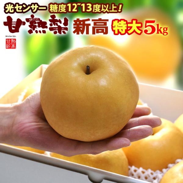 Ïn V 6L (5kg) Yn͂C Gi x12xȏ  Ȃ iV pear  V Hi t[c ʕ a V