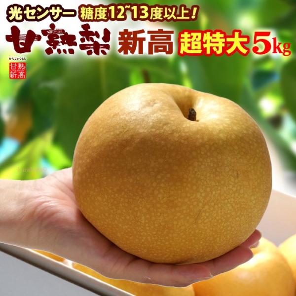 Ïn V 7L (5kg) Yn͂C Gi x12xȏ  Ȃ iV pear  V Hi t[c ʕ a V