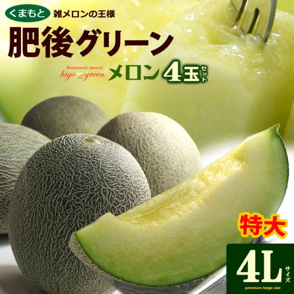 最大78%OFFクーポン 肥後グリーンメロン 超特大4玉入り agapeeurope.org