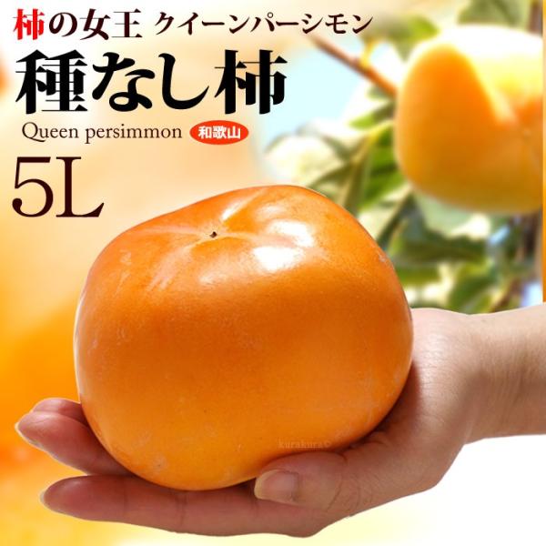 NC[p[V 5L (4kg) a̎RY Gi Ȃ` ˂Ȃ` 햳` 햳 `  JL persimmon  Hi t[c ʕ ` Mtg  