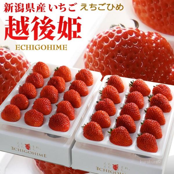 [Release date: March 26, 2026]商品名 : 越後姫いちご内容量/産地 : 専用化粧箱 約450g(12-15粒)×2P/新潟発送時期 : 3月下旬〜5月下旬発送形態 : ヤマト運輸 冷蔵便 送料 : 送料込(北海...