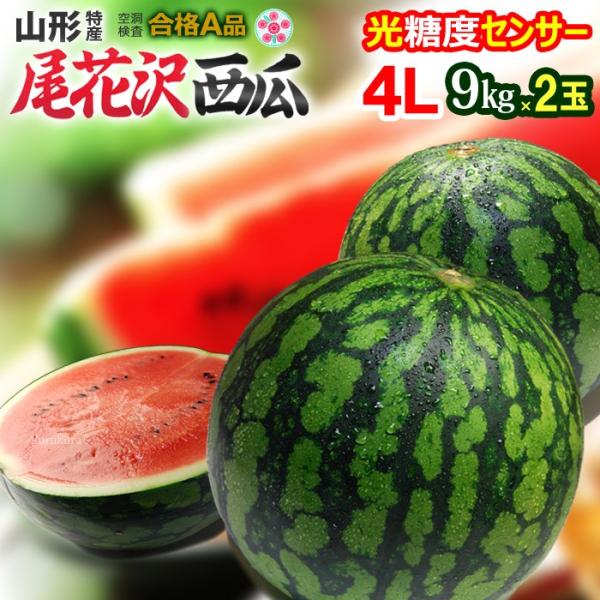 食品 北海道 富良野産 西瓜 スイカ 4L×2玉 計18kg超 正品