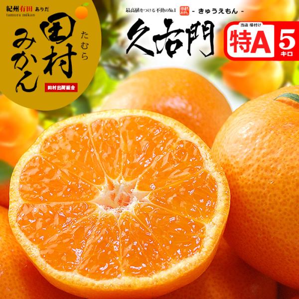 田村みかん 久右門 赤秀 (約5kg) 和歌山有田産 生産者限定 きゅうえもん S M 5キロ 有田みかん 贈答用 お歳暮 蜜柑 ミカン 食品 フルーツ 果物 みかん お供え
