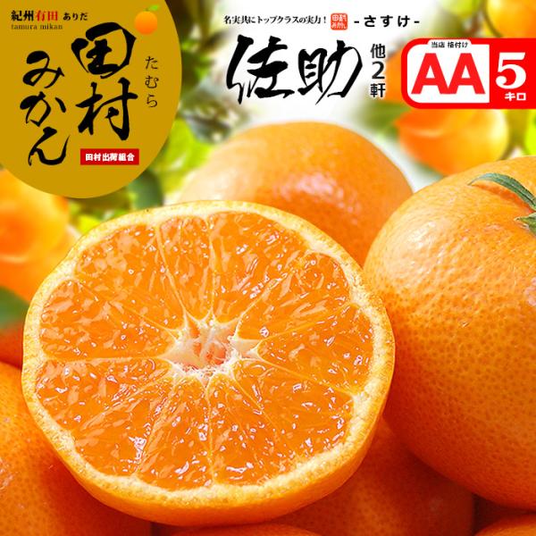 田村みかん 佐助 他2名 赤秀 (約5kg) 和歌山有田産 生産者限定 さすけ S M 5キロ 有田みかん 贈答 お歳暮 御歳暮 蜜柑 ミカン 食品 フルーツ 果物 みかん 御供