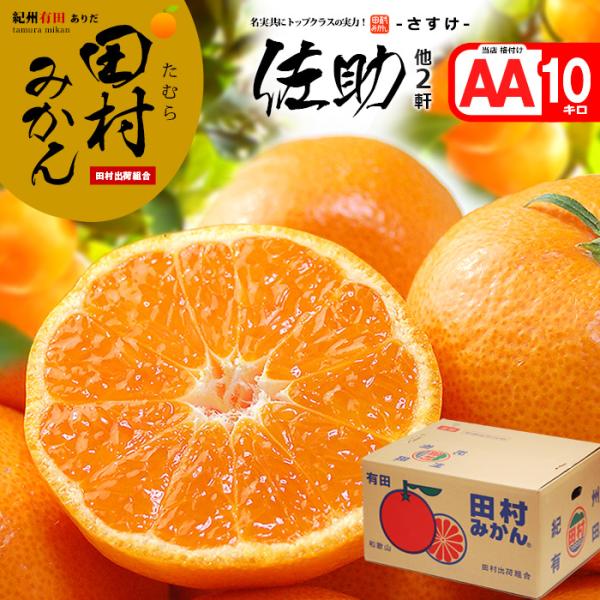 田村みかん 佐助 他2名 赤秀 (約10kg) 和歌山有田産 生産者限定 さすけ S M 10キロ 有田みかん 贈答用 お歳暮 御歳暮 蜜柑 ミカン 食品 フルーツ 果物 みかん