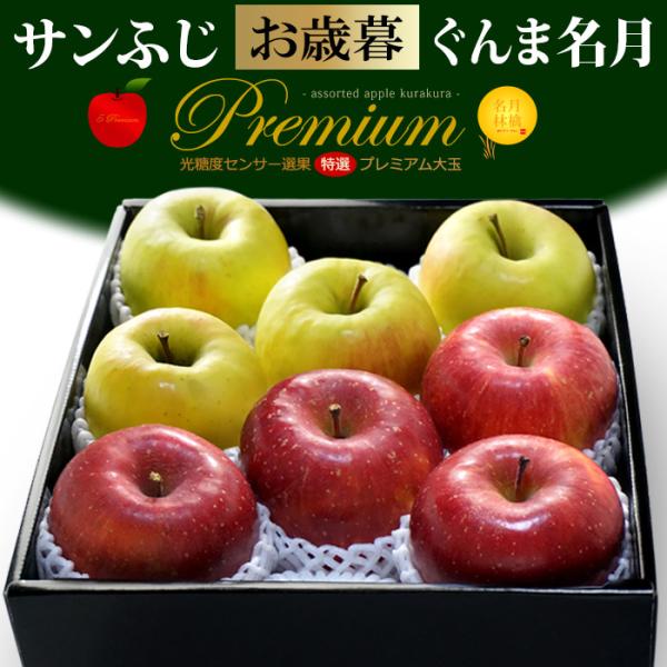 5プレミアム サンふじ ＆ ぐんま名月 セット (約2.7kg) 青森・岩手産 サンフジ 富士 さんふじ 名月 りんご リンゴ 林檎 青りんご apple フルーツ お歳暮 爆買