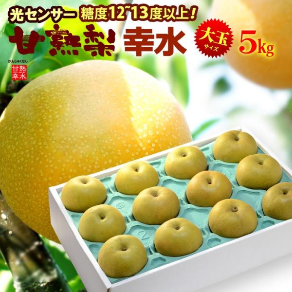 梨 5kg 幸水」の人気商品一覧 | 安い商品を通販サイトから探す