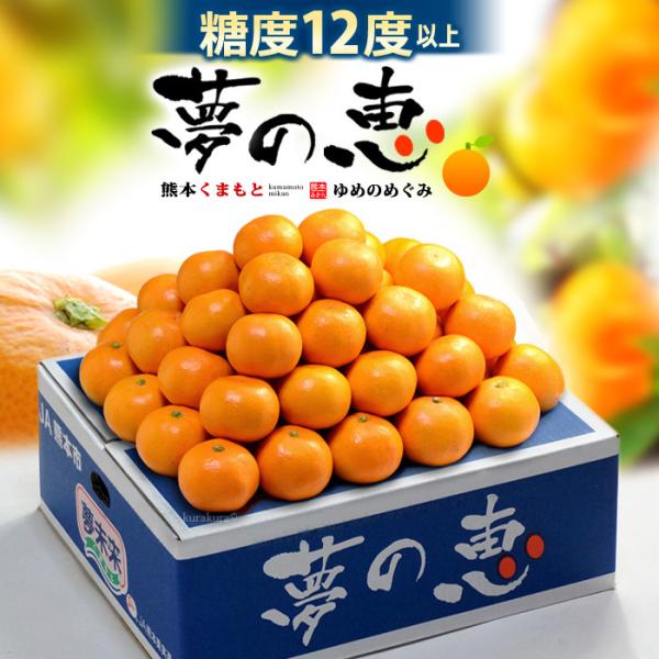 ݂ ̌b S-M (4kg) F{Y Gi p Mtg x12xȏ Â x  ~J  t[c ʕ ݂ Ε Ε Mtg  