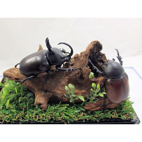 〇ジオラマ標本のコンセプト・特徴 ジオラマ標本は「生きているかのように今にも動き出すかのようなリアル感」をキャッチコピーに、自然の中で生きていたときの昆虫達の一瞬を形にしています。