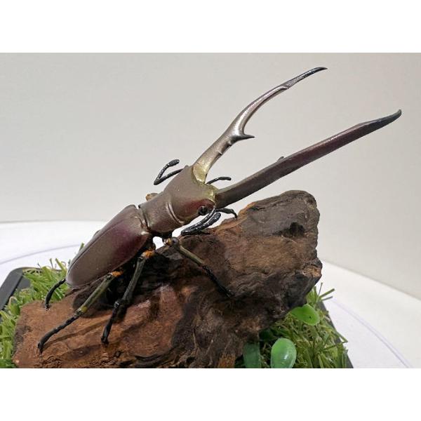 ◎ジオラマ標本製作の工夫と特徴１．ジオラマ標本は独自の技術で付加価値の高い工芸品的な位置付けで製作しています。２．ジオラマ標本はキャッチコピー「生きているかのように今にも動き出すかのようなリアル感」３．キャッチコピーは自然の中で生きていたと...