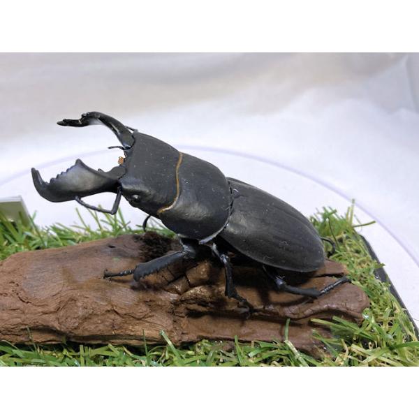 ◎ジオラマ標本製作の工夫と特徴１．ジオラマ標本は独自の技術で付加価値の高い工芸品的な位置付けで製作しています。２．ジオラマ標本はキャッチコピー「生きているかのように今にも動き出すかのようなリアル感」３．キャッチコピーは自然の中で生きていたと...