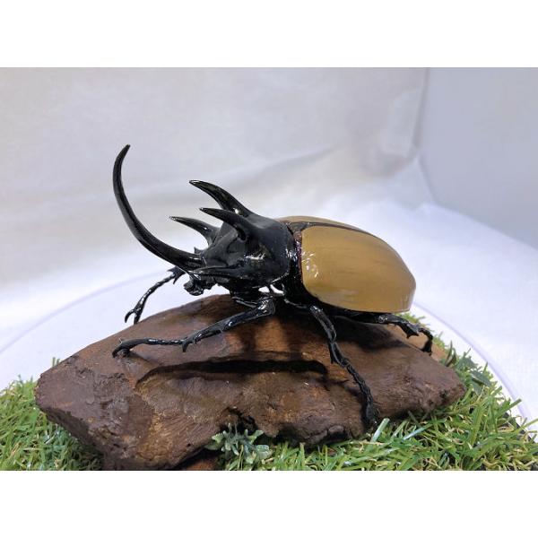 ◎ジオラマ標本製作の工夫と特徴１．ジオラマ標本は独自の技術で付加価値の高い工芸品的な位置付けで製作しています。２．ジオラマ標本はキャッチコピー「生きているかのように今にも動き出すかのようなリアル感」３．キャッチコピーは自然の中で生きていたと...