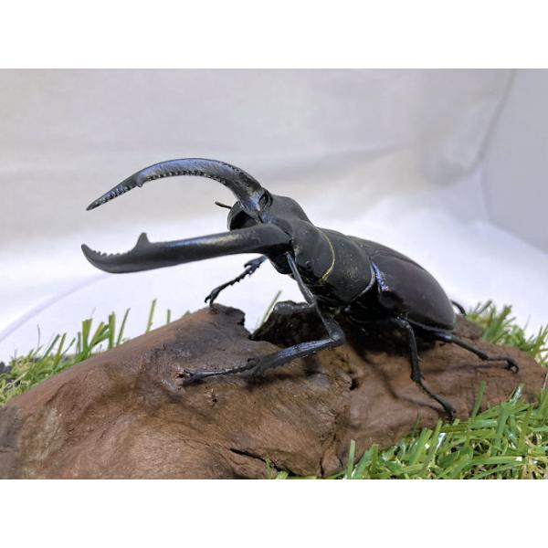 ◎ジオラマ標本製作の工夫と特徴１．ジオラマ標本は独自の技術で付加価値の高い工芸品的な位置付けで製作しています。２．ジオラマ標本はキャッチコピー「生きているかのように今にも動き出すかのようなリアル感」３．キャッチコピーは自然の中で生きていたと...