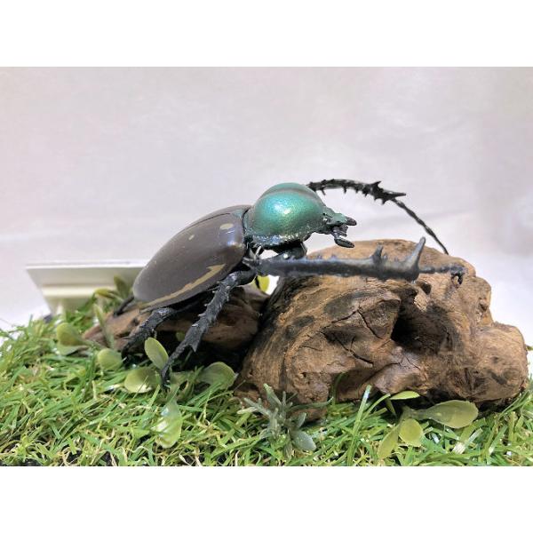 ◎ジオラマ標本製作の工夫と特徴１．ジオラマ標本は独自の技術で付加価値の高い工芸品的な位置付けで製作しています。２．ジオラマ標本はキャッチコピー「生きているかのように今にも動き出すかのようなリアル感」３．キャッチコピーは自然の中で生きていたと...