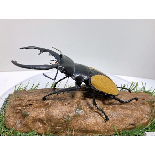 ◎ジオラマ標本製作の工夫と特徴１．ジオラマ標本は独自の技術で付加価値の高い工芸品的な位置付けで製作しています。２．ジオラマ標本はキャッチコピー「生きているかのように今にも動き出すかのようなリアル感」３．キャッチコピーは自然の中で生きていたと...