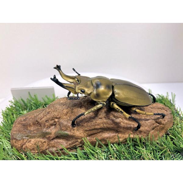 ◎ジオラマ標本製作の工夫と特徴１．ジオラマ標本は独自の技術で付加価値の高い工芸品的な位置付けで製作しています。２．ジオラマ標本はキャッチコピー「生きているかのように今にも動き出すかのようなリアル感」３．キャッチコピーは自然の中で生きていたと...