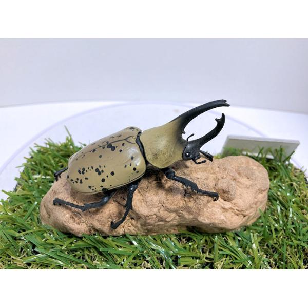 ◎ジオラマ標本製作の工夫と特徴１．ジオラマ標本は独自の技術で付加価値の高い工芸品的な位置付けで製作しています。２．ジオラマ標本はキャッチコピー「生きているかのように今にも動き出すかのようなリアル感」３．キャッチコピーは自然の中で生きていたと...