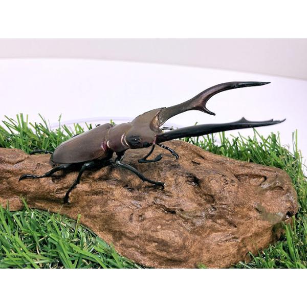 ◎ジオラマ標本製作の工夫と特徴１．ジオラマ標本は独自の技術で付加価値の高い工芸品的な位置付けで製作しています。２．ジオラマ標本はキャッチコピー「生きているかのように今にも動き出すかのようなリアル感」３．キャッチコピーは自然の中で生きていたと...