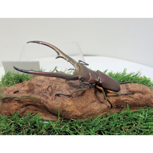 ◎ジオラマ標本製作の工夫と特徴１．ジオラマ標本は独自の技術で付加価値の高い工芸品的な位置付けで製作しています。２．ジオラマ標本はキャッチコピー「生きているかのように今にも動き出すかのようなリアル感」３．キャッチコピーは自然の中で生きていたと...