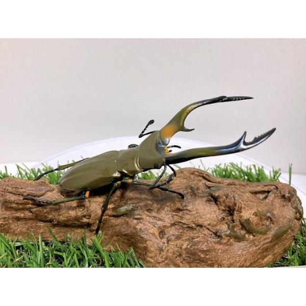 ◎ジオラマ標本製作の工夫と特徴１．ジオラマ標本は独自の技術で付加価値の高い工芸品的な位置付けで製作しています。２．ジオラマ標本はキャッチコピー「生きているかのように今にも動き出すかのようなリアル感」３．キャッチコピーは自然の中で生きていたと...