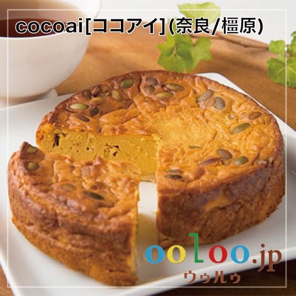 砂糖不使用 南瓜のチーズケーキ 野菜菓子工房ココアイ Cocoai 奈良 橿原 Cc Ccop ウゥルゥ Ooloo 通販 Yahoo ショッピング