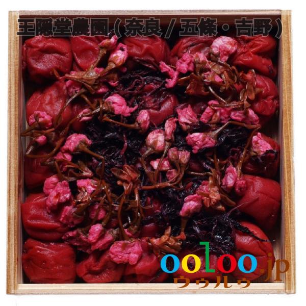 ~ 500g Mtg | B_(ޗ/ܞEg)