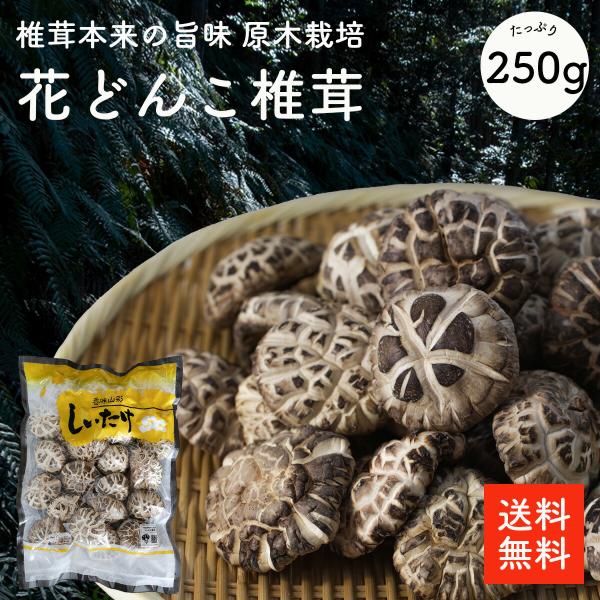 花どんこ椎茸250g | 原木栽培 最高級品 白花椎茸 ちらし寿司 巻き寿司 干ししいたけ 干しシイタケ 乾燥椎茸 乾燥しいたけ 乾燥シイタケ 出汁 だし ダシ 選別品【送料無料】