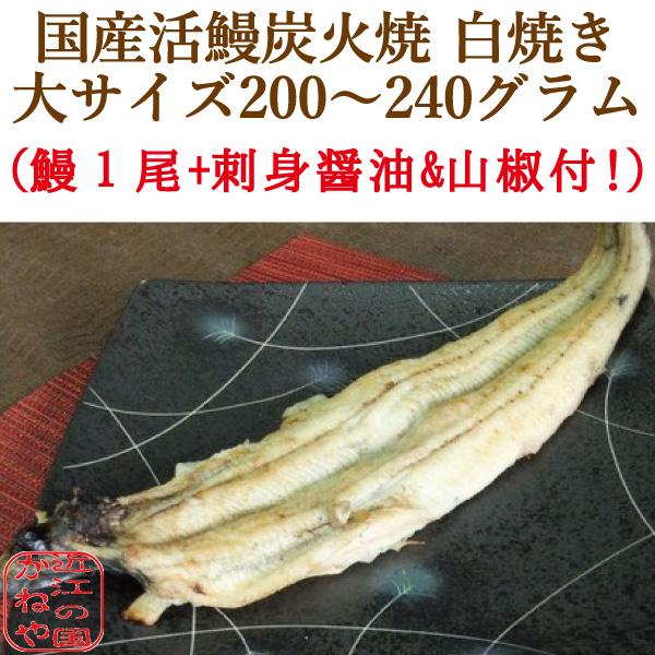 国産 活鰻炭火焼 白焼き 大サイズ しら焼き うなぎ ウナギ200〜240 