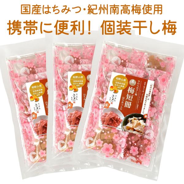 やわらか干し梅 梅短冊 はちみつ入り ( 紀州産 完熟 南高梅 蜂蜜漬け 梅干 ) 40g ×3袋 メール便 送料無料 国産 梅屋の自家製造 個包装 塩分補給 クエン酸