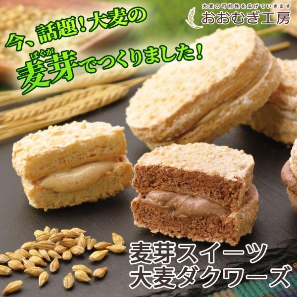 麦芽スイーツ 大麦ダクワーズ 12個入 9359 おおむぎ工房 Yahoo 店 通販 Yahoo ショッピング