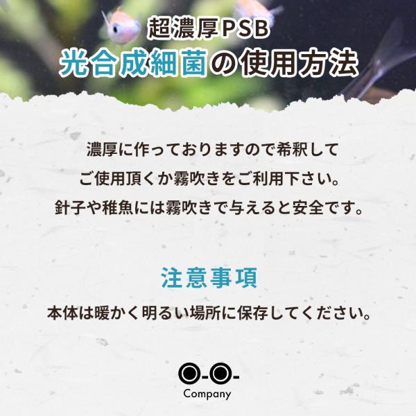 超濃厚 光合成細菌 全商品オープニング価格特別価格 600ml メダカ 餌 ミジンコ Psb