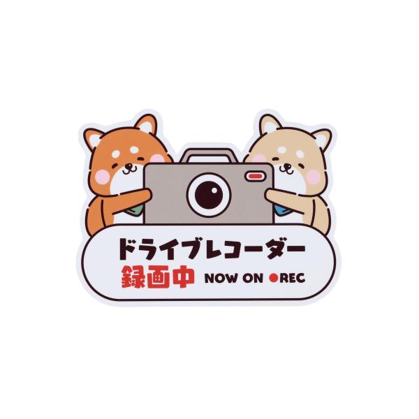 ドラレコステッカー マグネット 大 ドライブレコーダー 録画中 車 犬 あおり運転対策