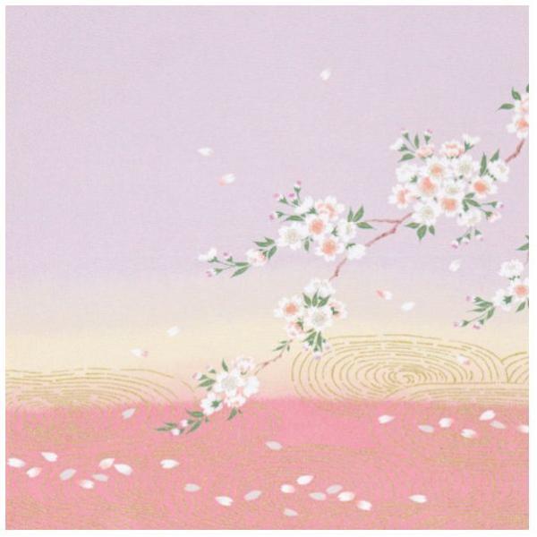 ߂Fӂ낵i45×45cmjC~/ ϐɍ