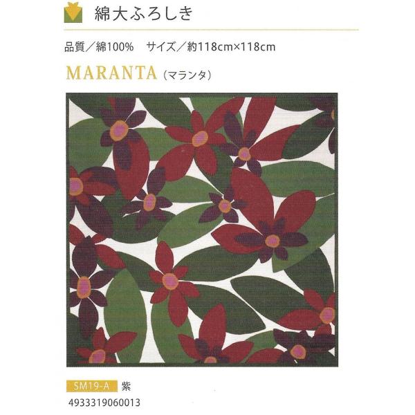 MARANTA @i}^Ej@@Vr-Sybilla-̂ӂ낵