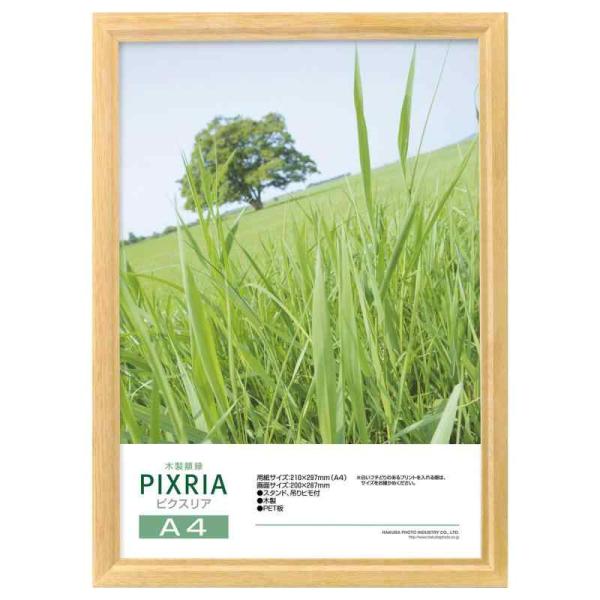 他サイト： ハクバ HAKUBA 木製額縁 ピクスリア A4サイズ ナチュラル ポスターフレーム フォトフレーム 前面PET板 吊り紐付きFWPX-NTA4の商品画像