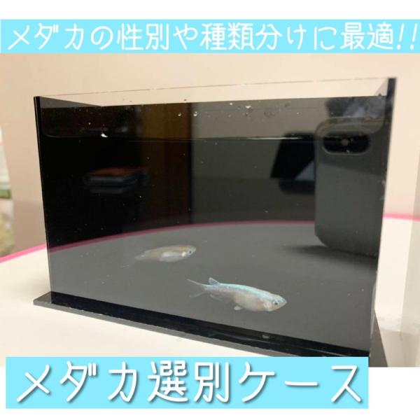 材料：アクリルサイズ：本体W130×H83×D40　　　：撮影用容器W115×H80×D35日本製メダ活している方・これから始める方に向けた商品です。メダカの鑑賞・選別・撮影用とさまざまな使い方ができる優れものです。サイズも手軽な大きさなの...