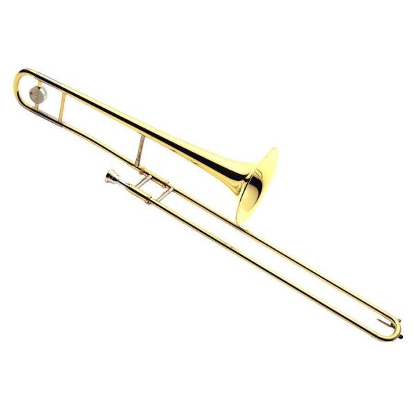 �y1/14�i���j�ɏo�ח\��z���}�n �g�����{-�� YSL-354V