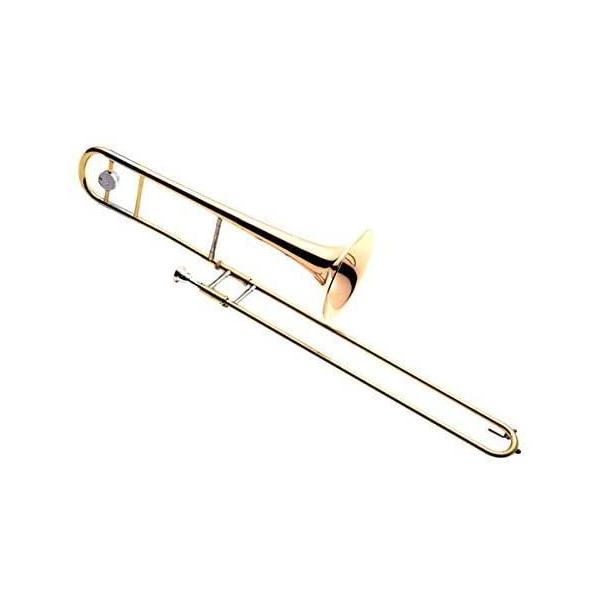 �y1/14�i���j�ɏo�ח\��z���}�n �e�i�[�g�����{-�� YSL-455G