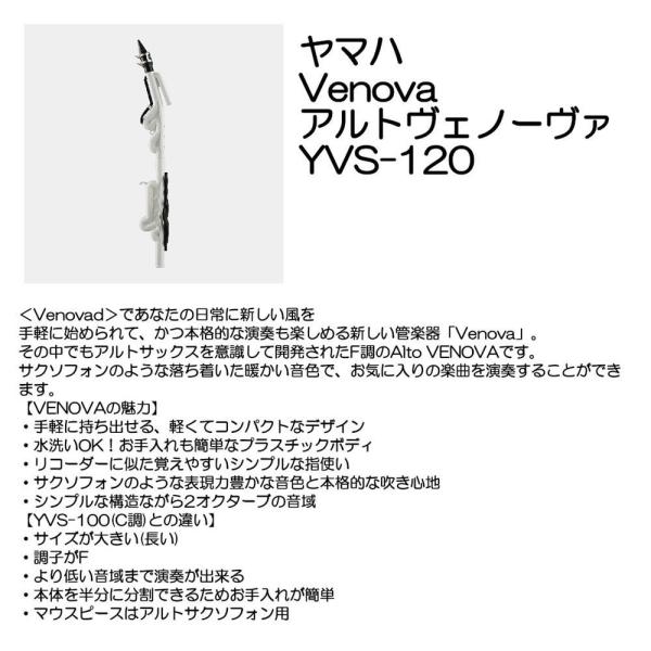 y11/18i΁jɏoח\z}n AgFm[@ YVS-120