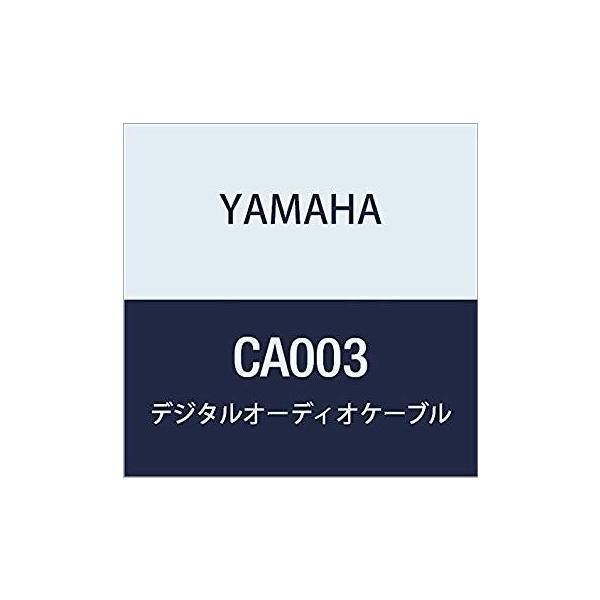 y11/11i΁jɏoח\z}n fW^I[fBIP[u 3m CA003