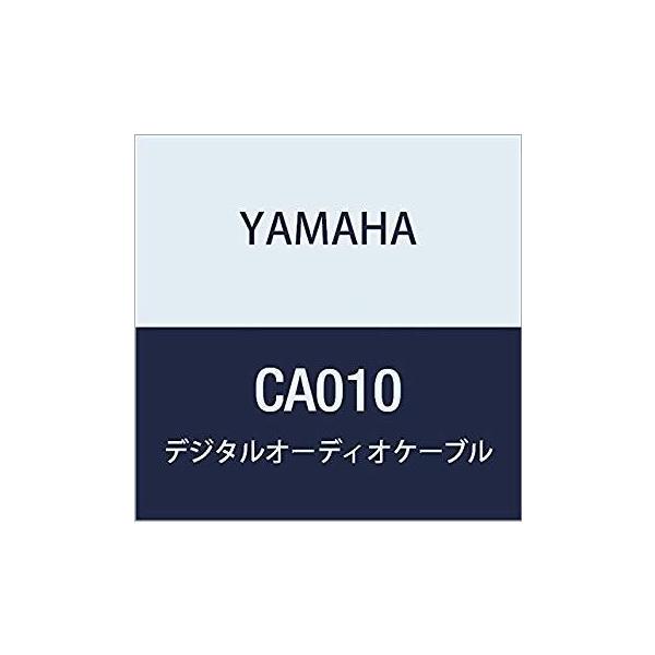 y11/11i΁jɏoח\z}n fW^I[fBIP[u 10m CA010